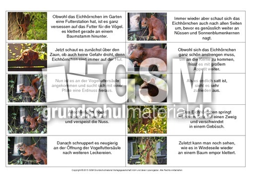 Abschreibtext-Bildergeschichte-E-1.pdf